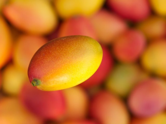 Meilleures recettes de smoothies créoles pour la récupération
